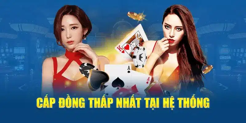 Ưu đãi tân thủ Xin88: Bệ phóng cho người mới bắt đầu cá cược